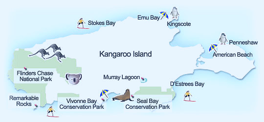 Things to see and do on Kangaroo Island
